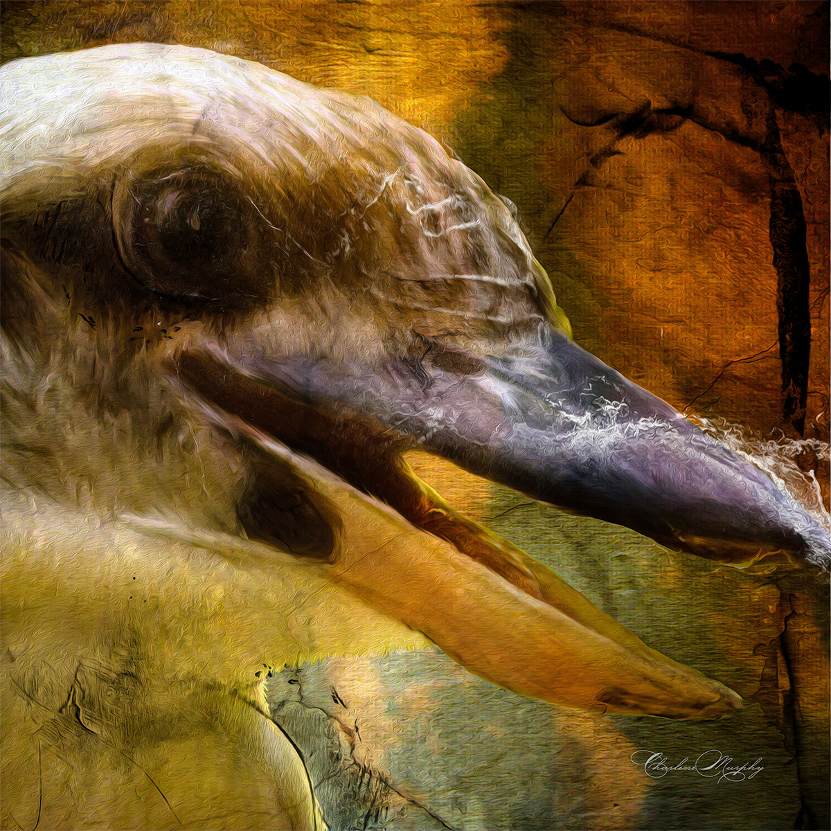 Kookaburra - Hand Painted Mixer Brush