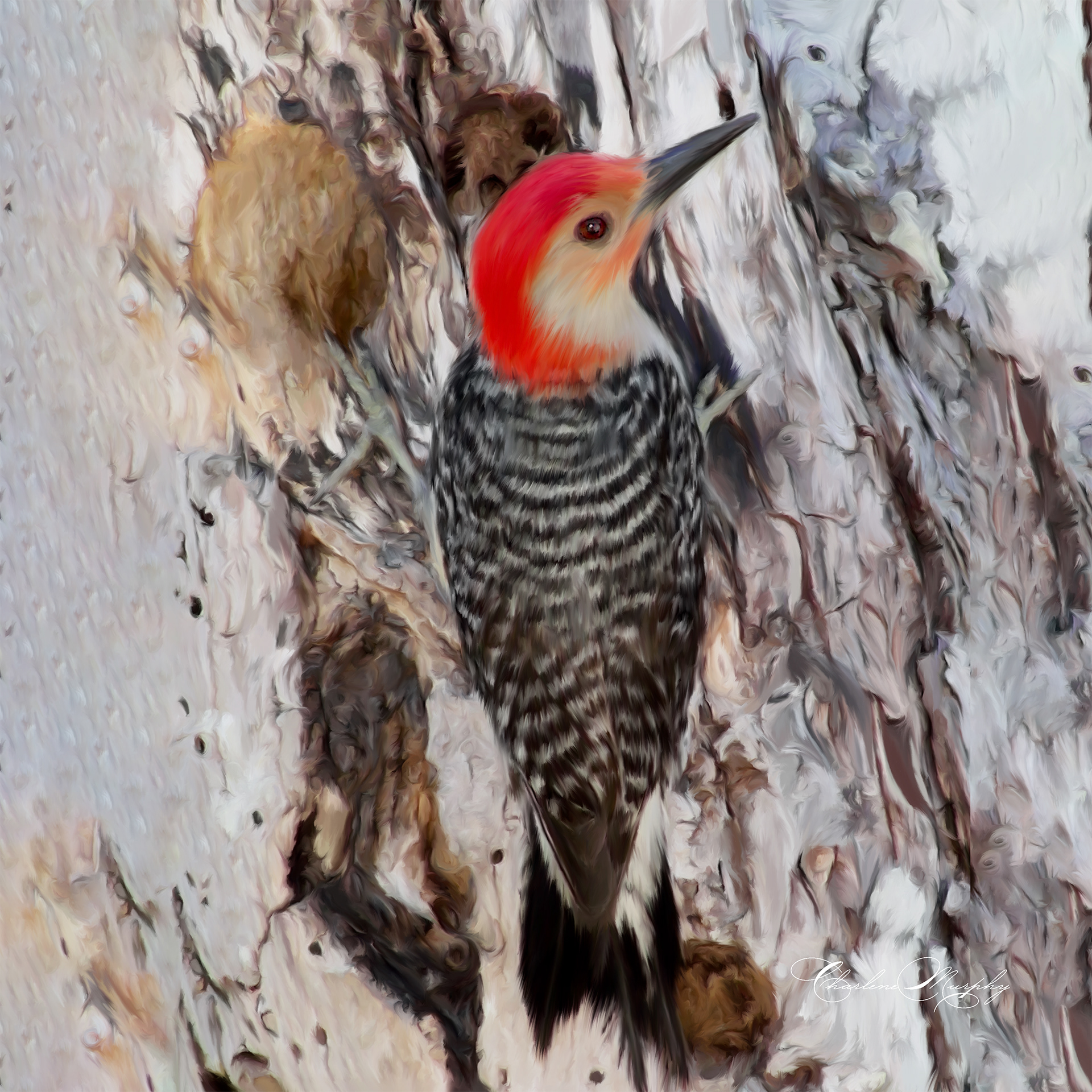 Hand Painted Redheaded Woodpecker