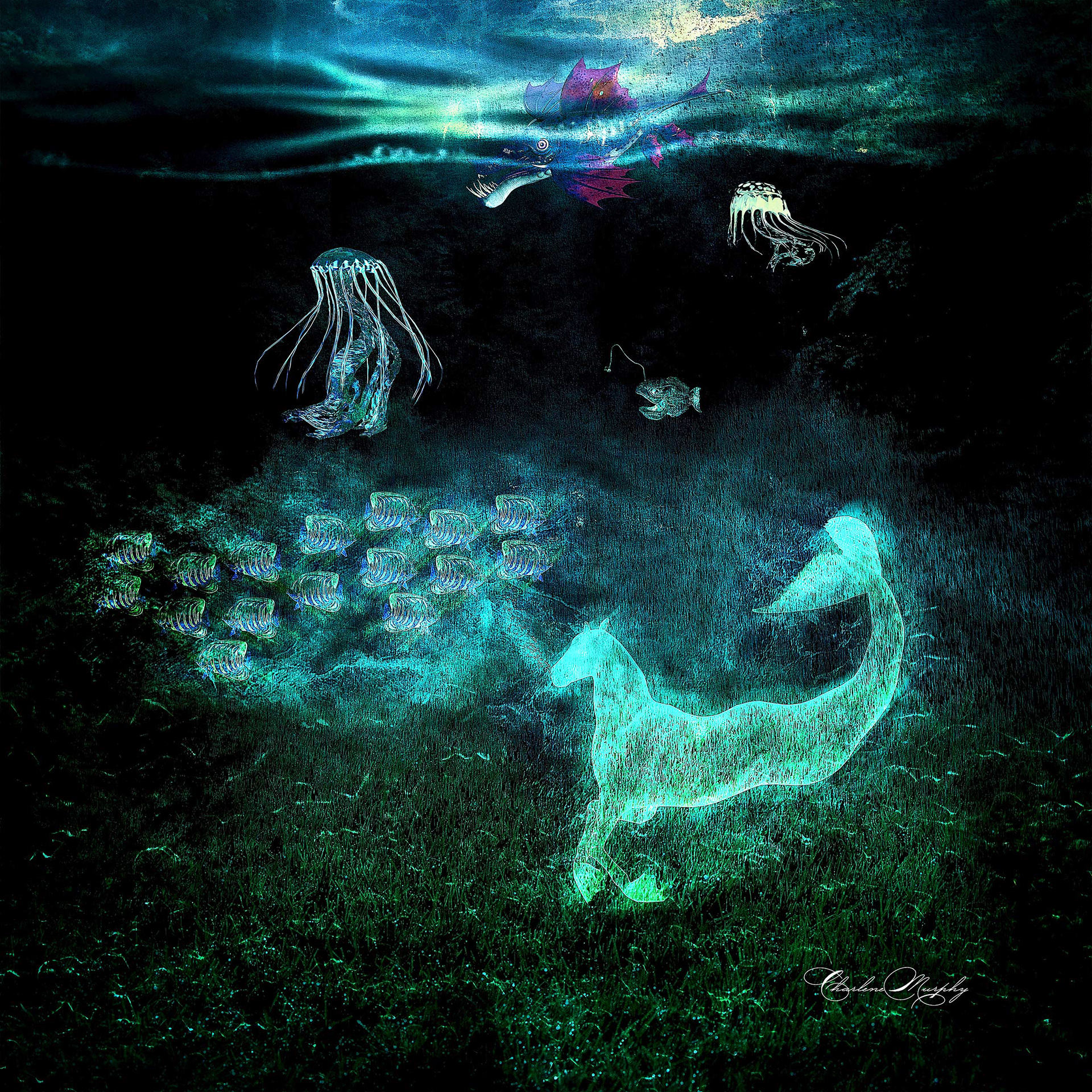 Underwater