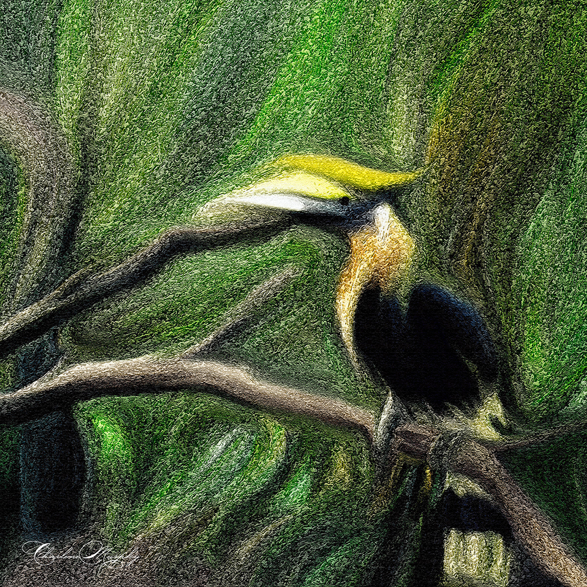 Tucan - Hand Painted Mixer Brush