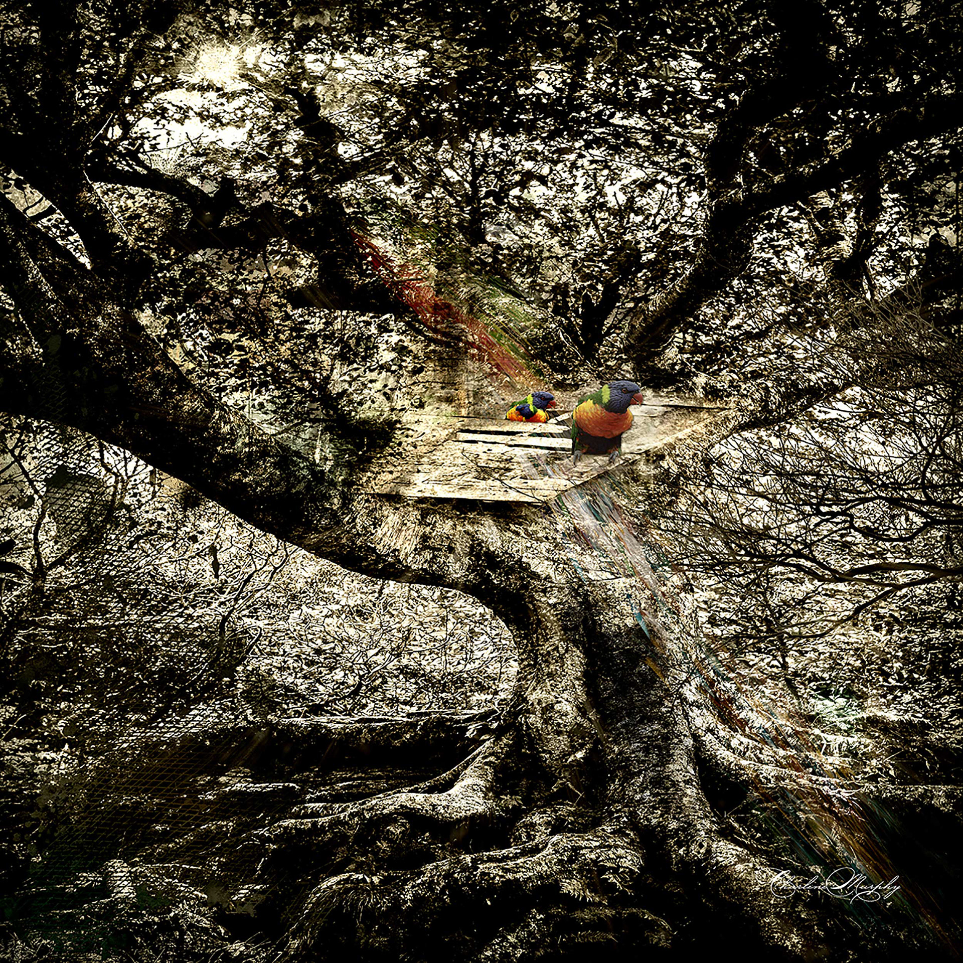 Peeking Out - Theme -Selective Color - March 2019