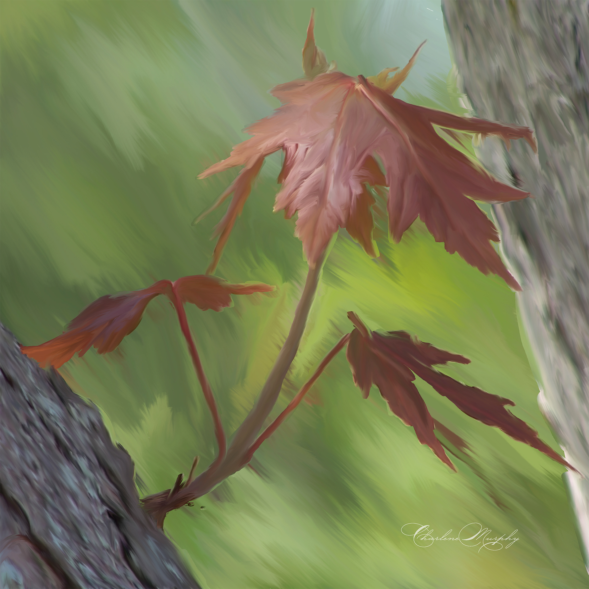 Hand Painted Maple Leaves