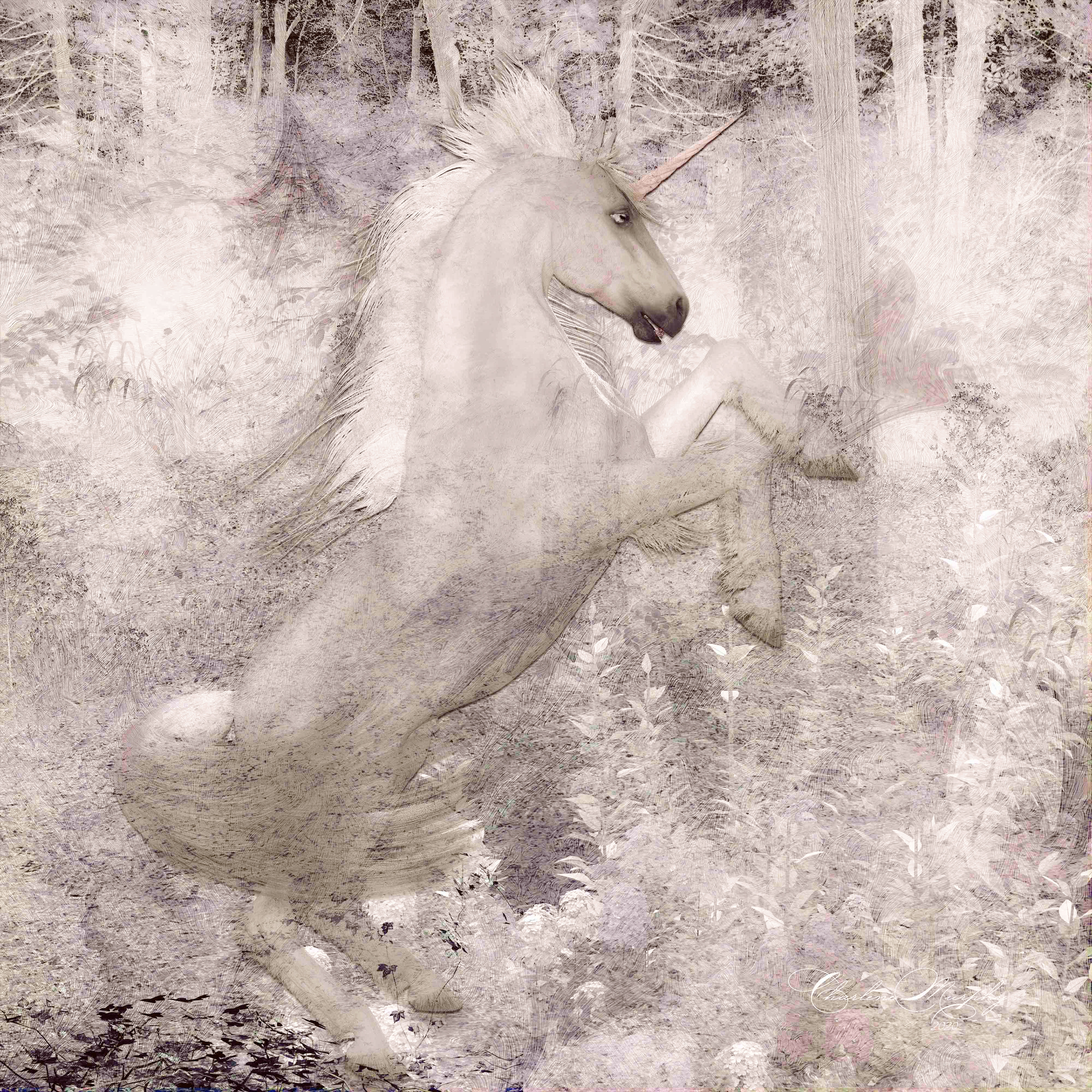 Mystical Unicorn V02