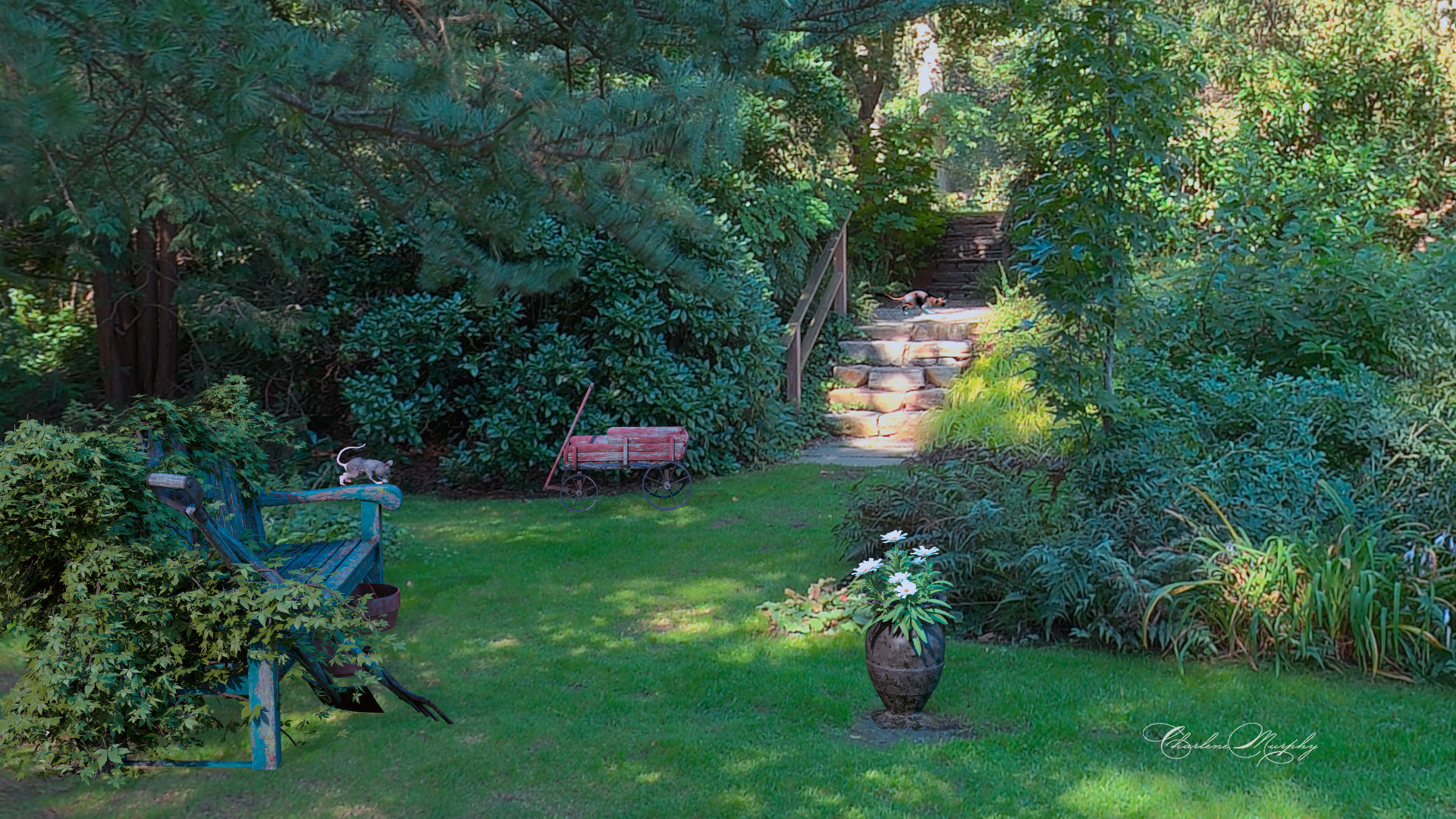 Garden