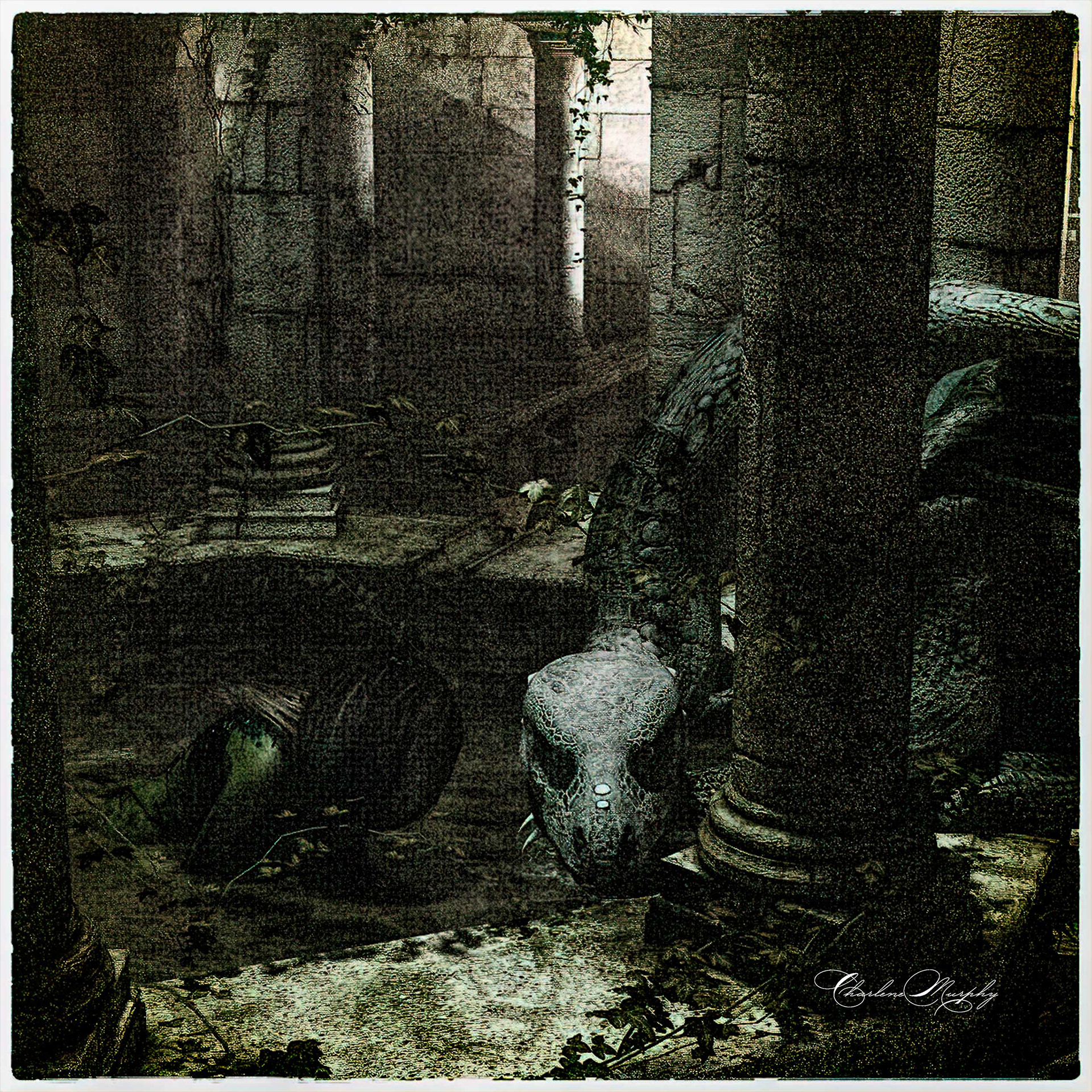 Girl in well with Dragon