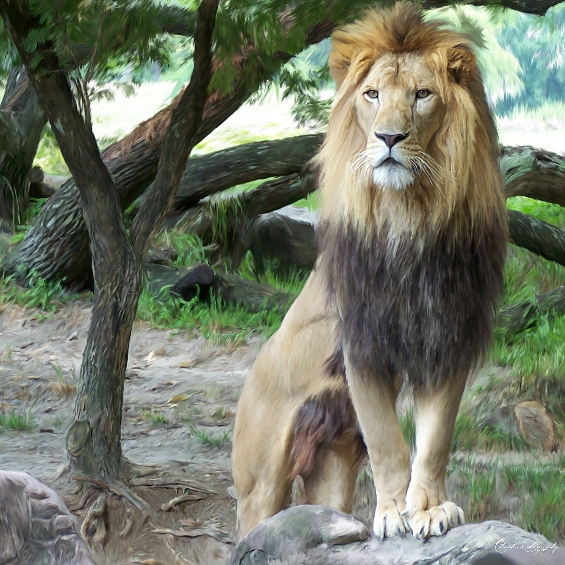 Hand Painted Lion (4.28.2020)