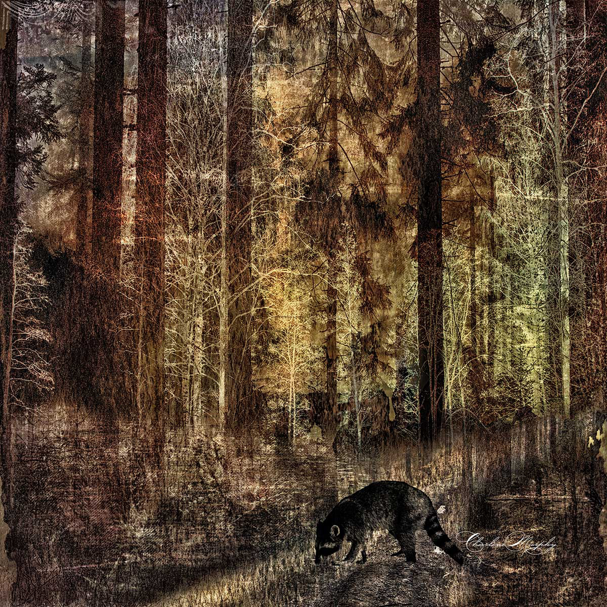 Summer Nights - Theme - Summer - July 2019