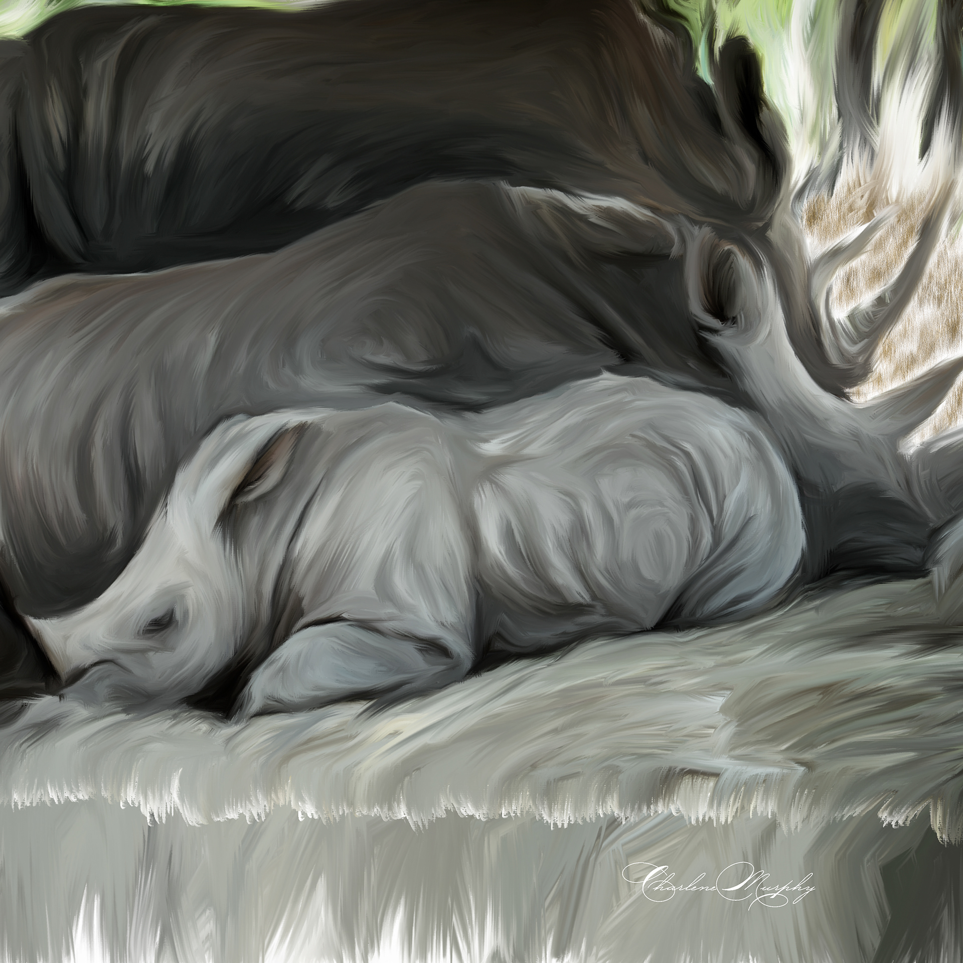 Hand Painted Rhinos