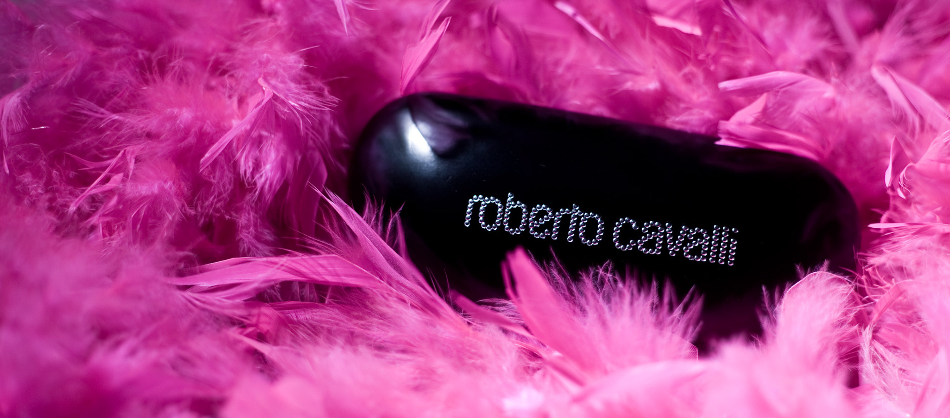 Roberto Cavalli
