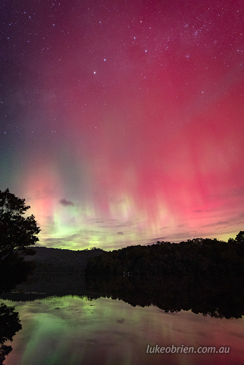 corinna june 2025 2241