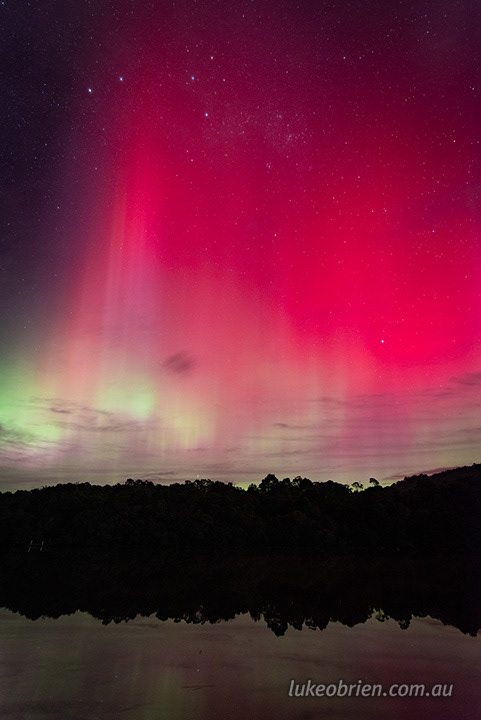 corinna june 2025 2324