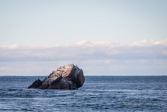 Wineglass Bay Cruise