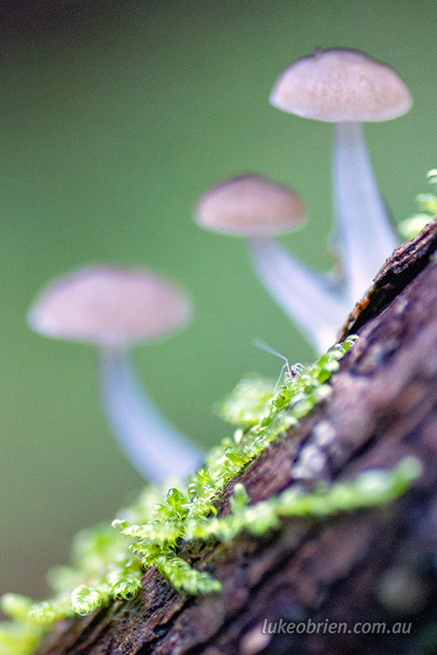 2288crop