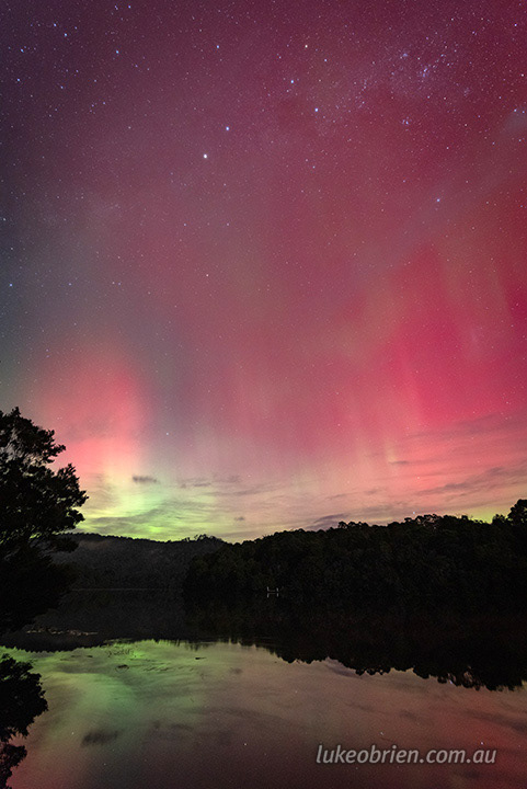 corinna june 2025 2243