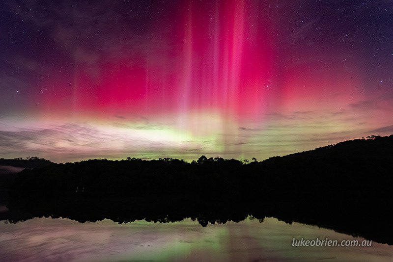 corinna june 2025 2228