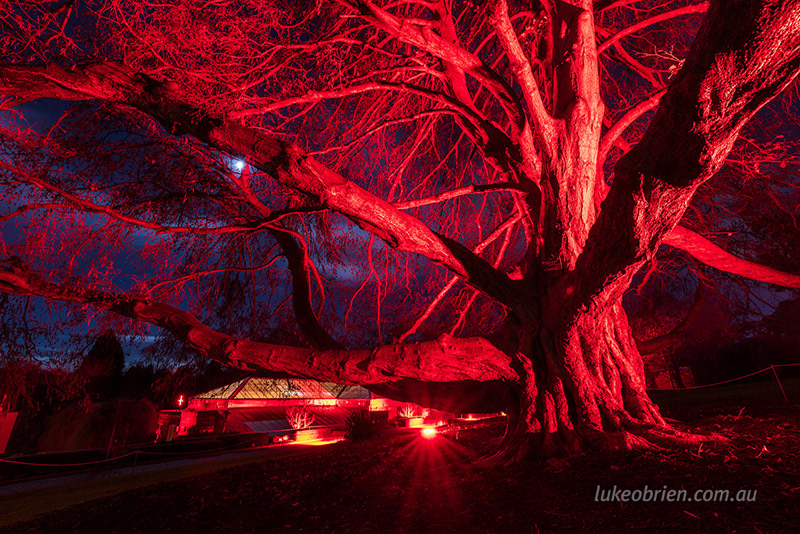 dark path 7876