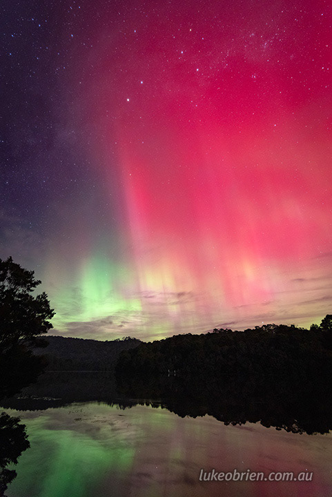 corinna june 2025 2238