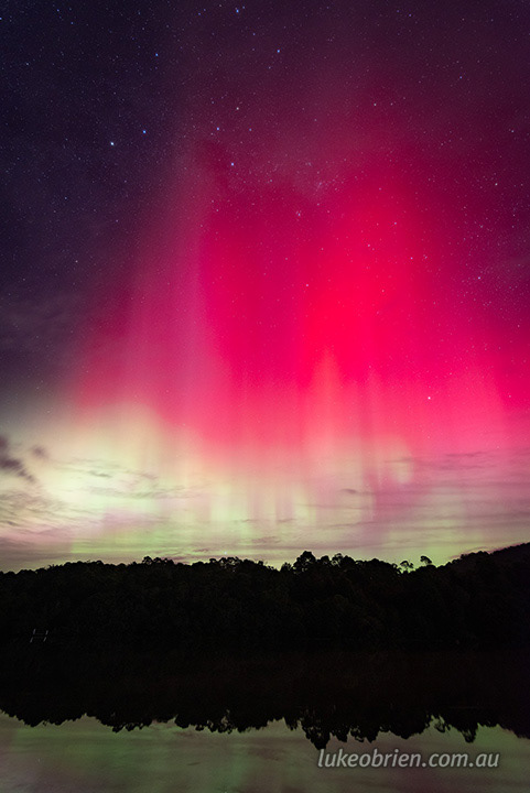 corinna june 2025 2231