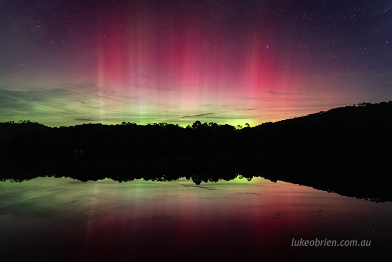 corinna june 2025 2222