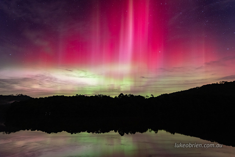 corinna june 2025 2229