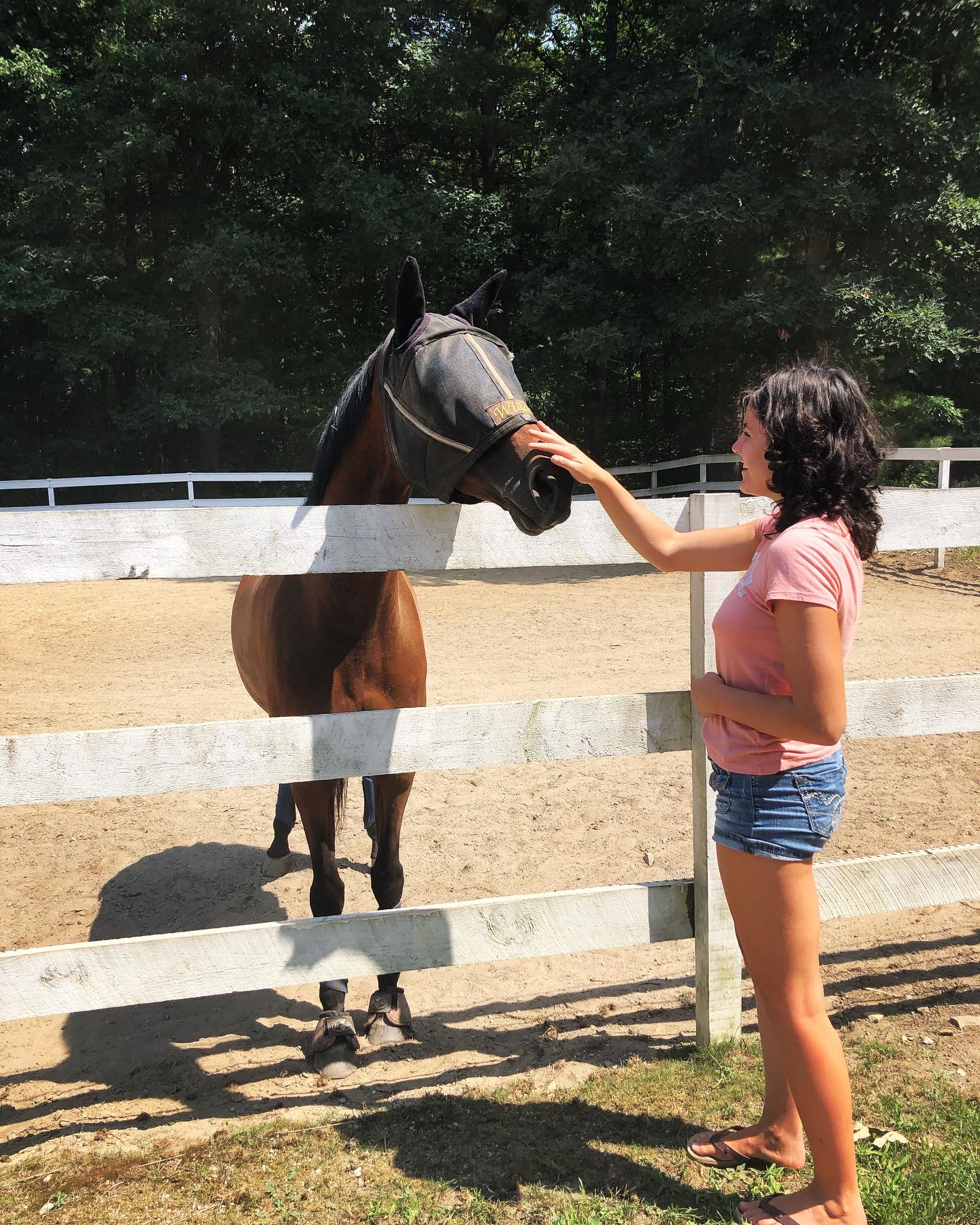 Here I am petting a horse! I don't often have the opportunity to interact with horses, so this moment was very special for me.