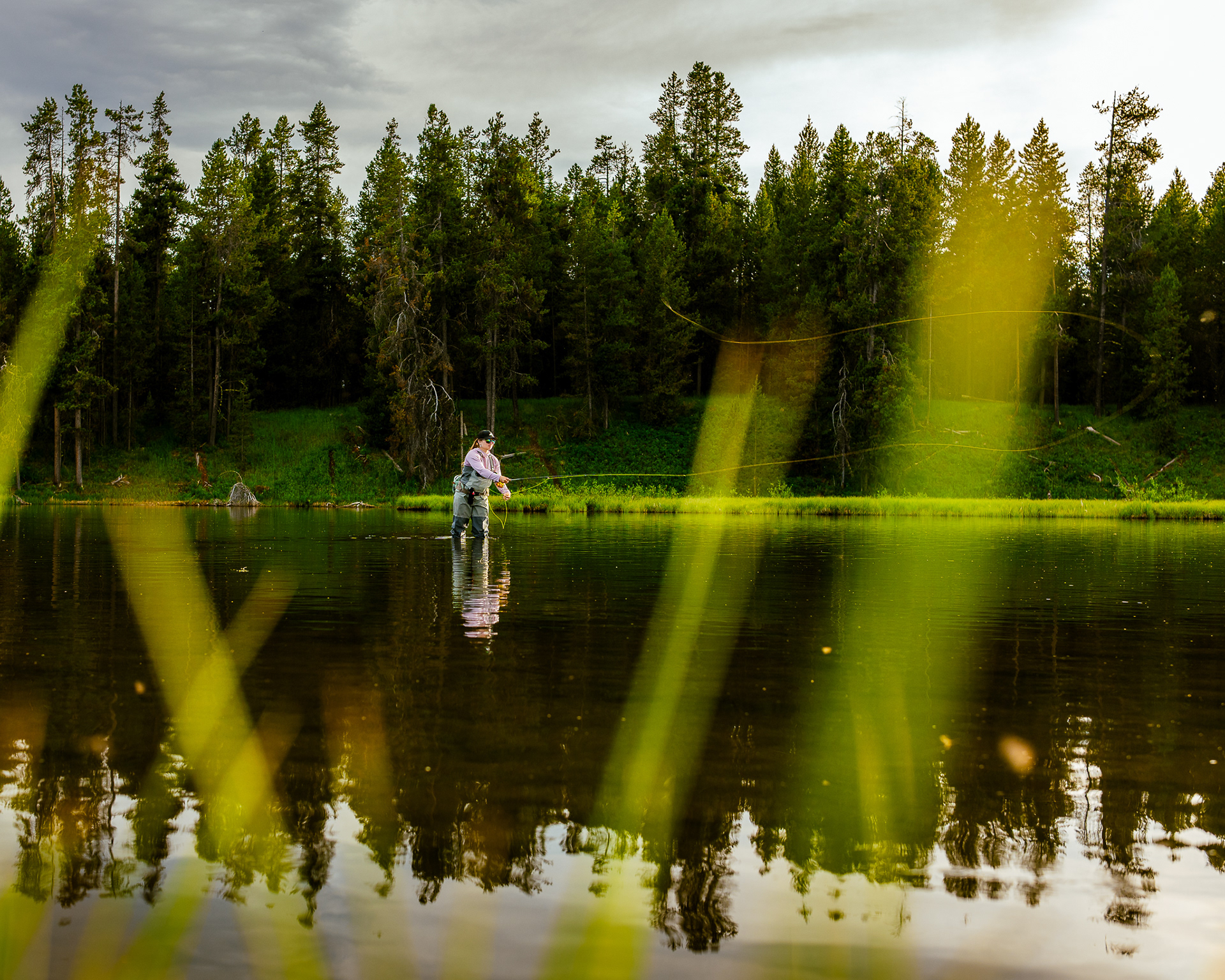 Casting to risers are Harriman State Park, Idaho