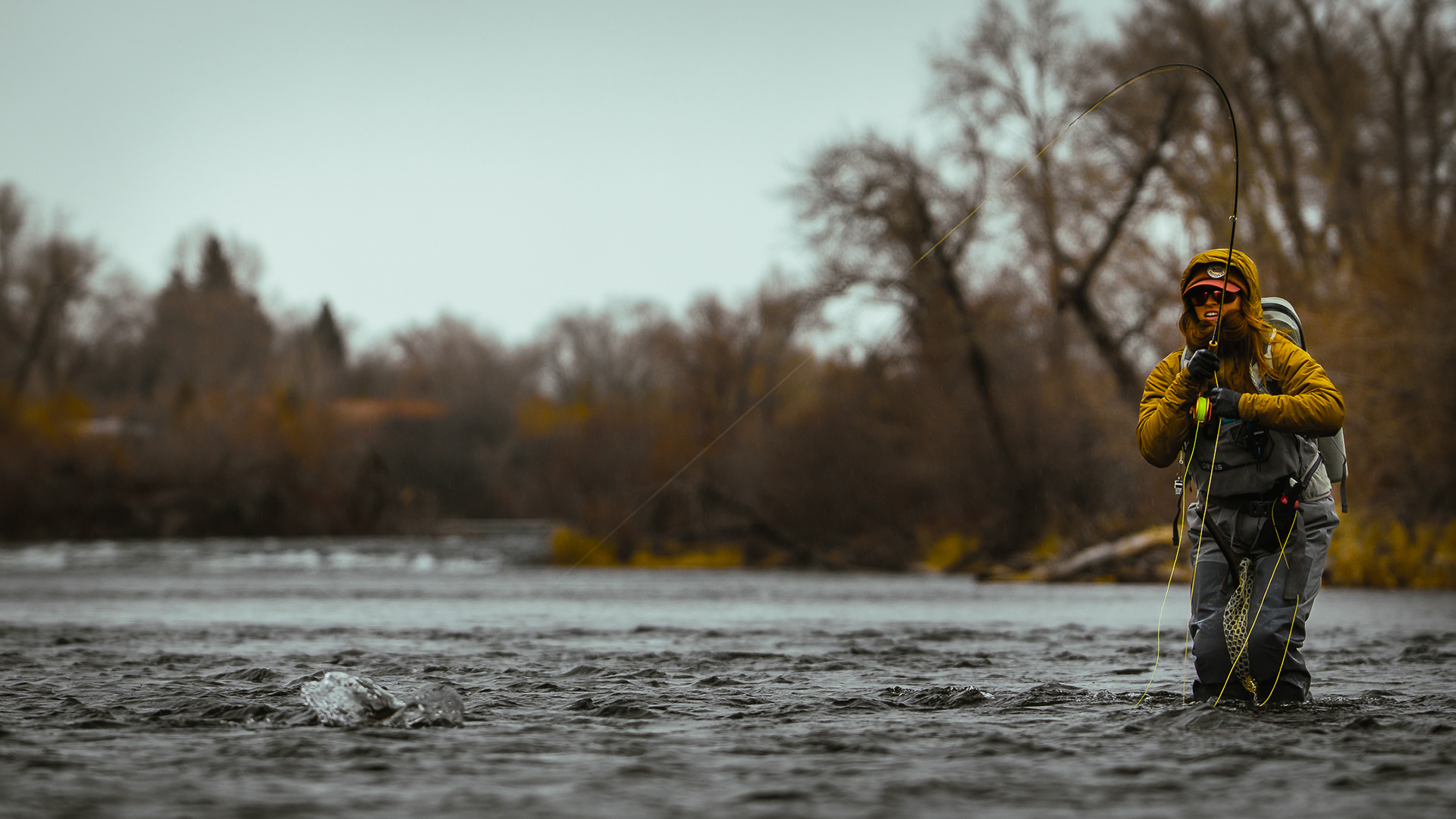 Spring BWO dry fly fishing on the Henry's Fork, Idaho