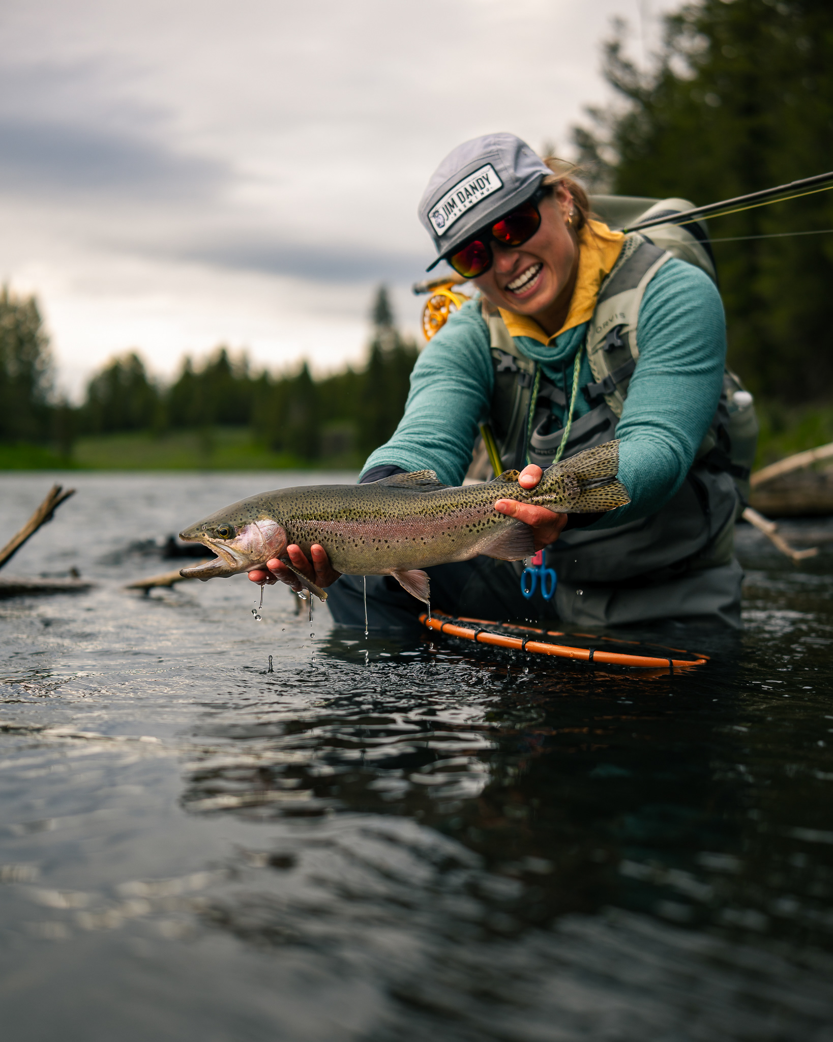 Dandy of a rainbow trout, Island Park Idaho
