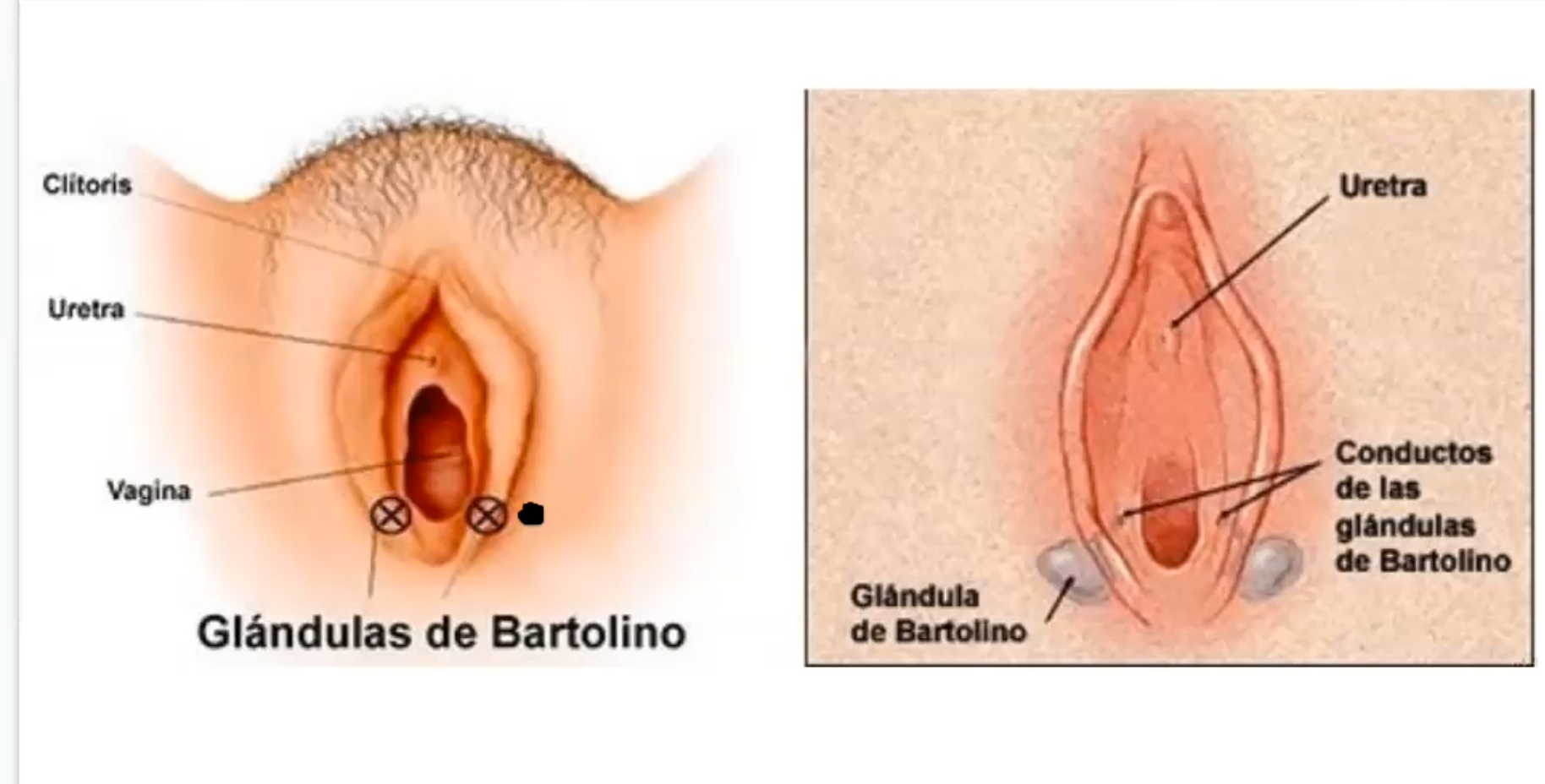 Que tomar para las cervicales y mareos