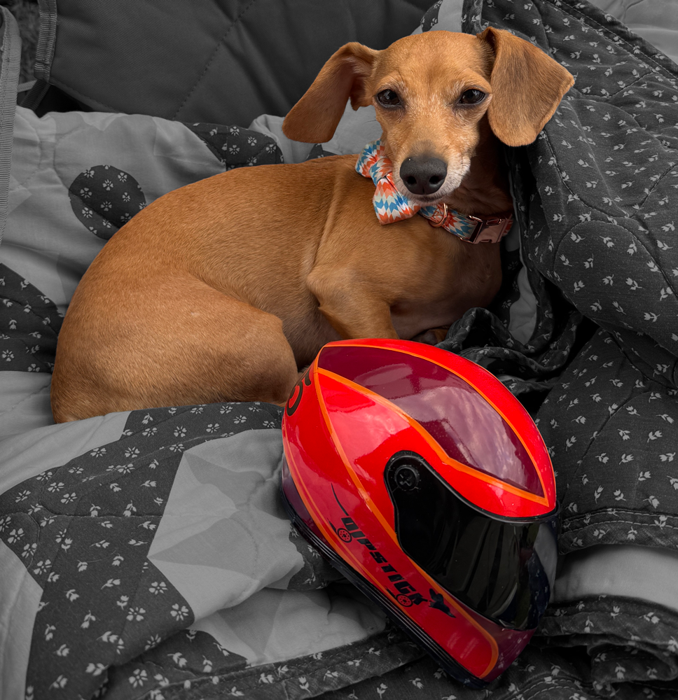 Dipstick and his helmet