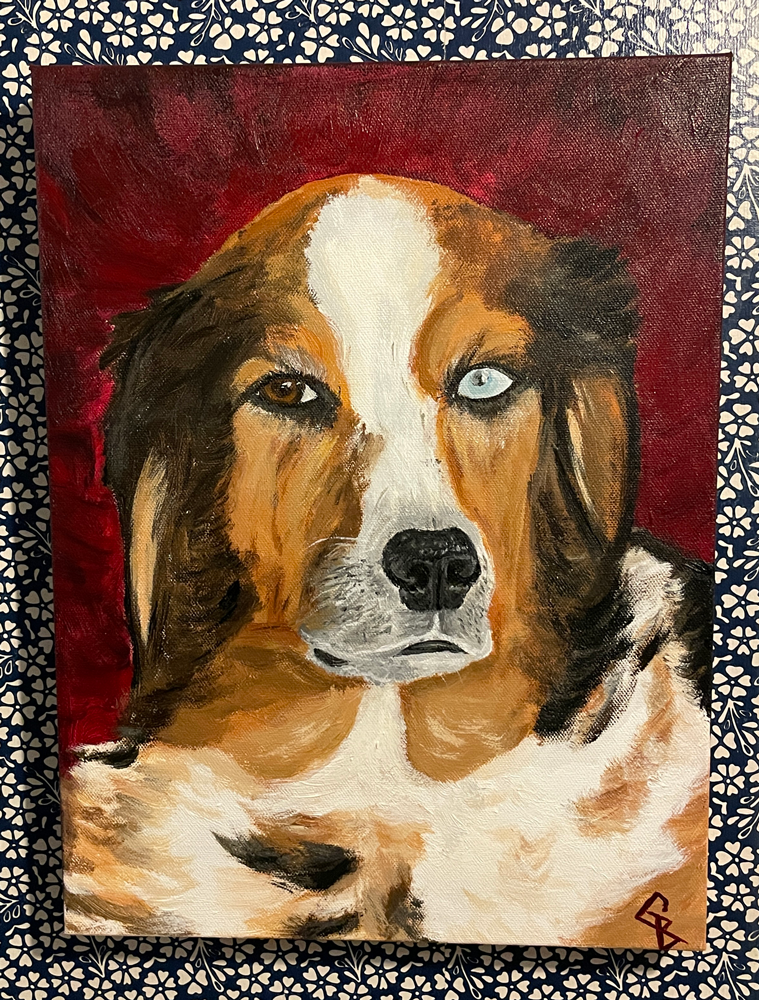 Dog Portrait