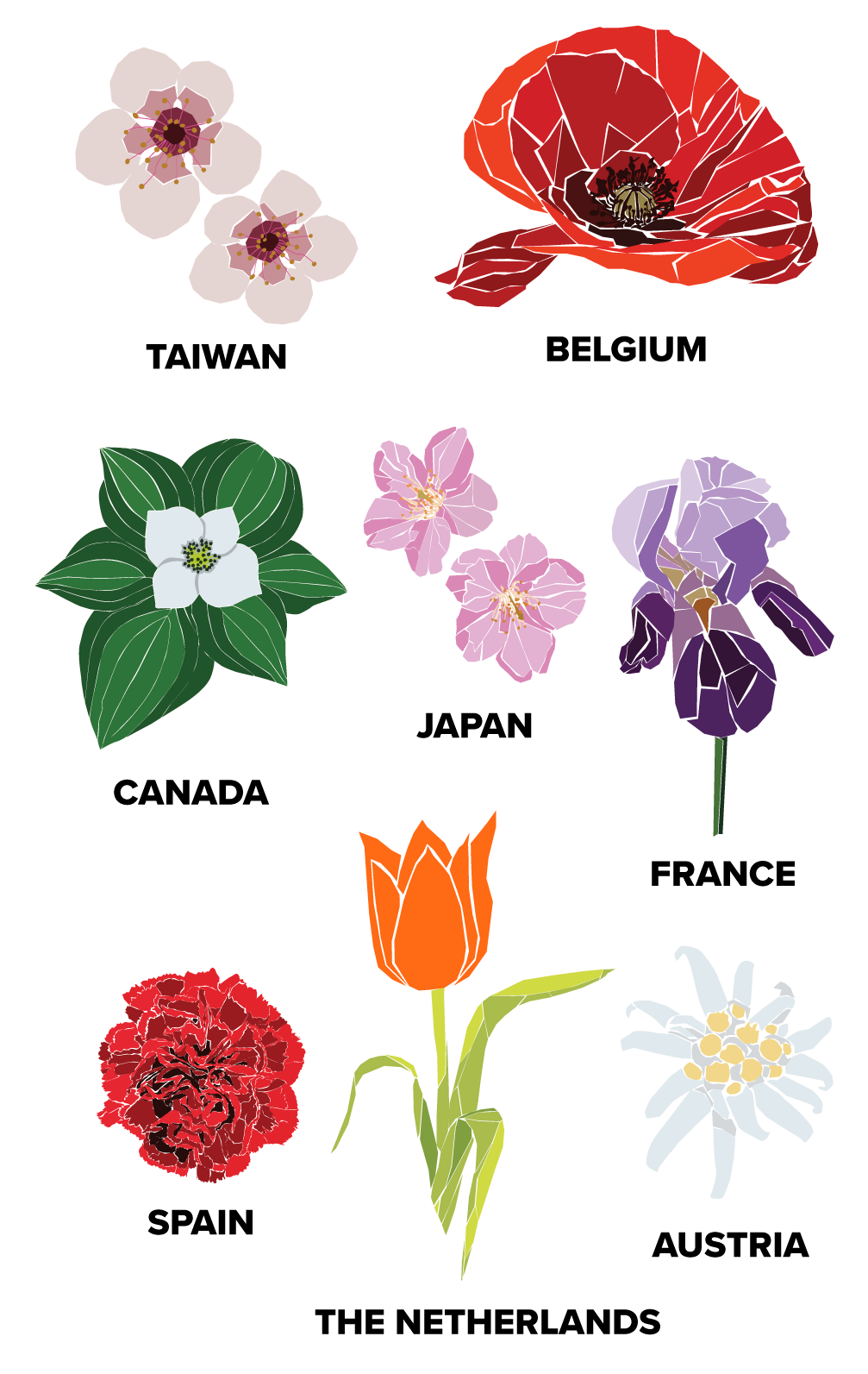 National Mosaic Flowers