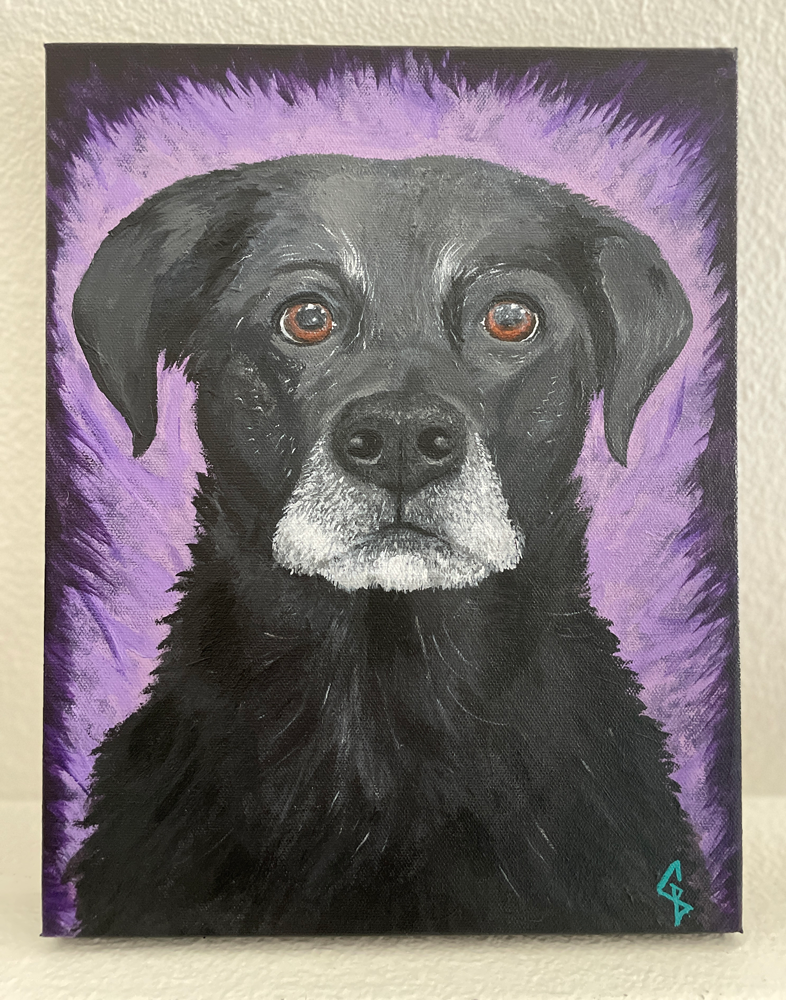 Dog Portrait