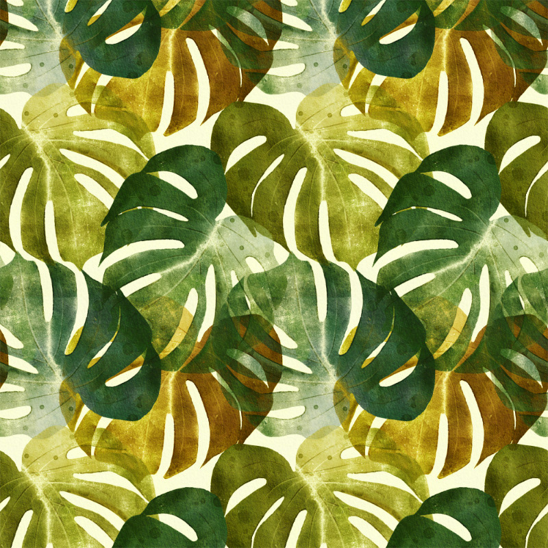 Monstera Lush 01/2022