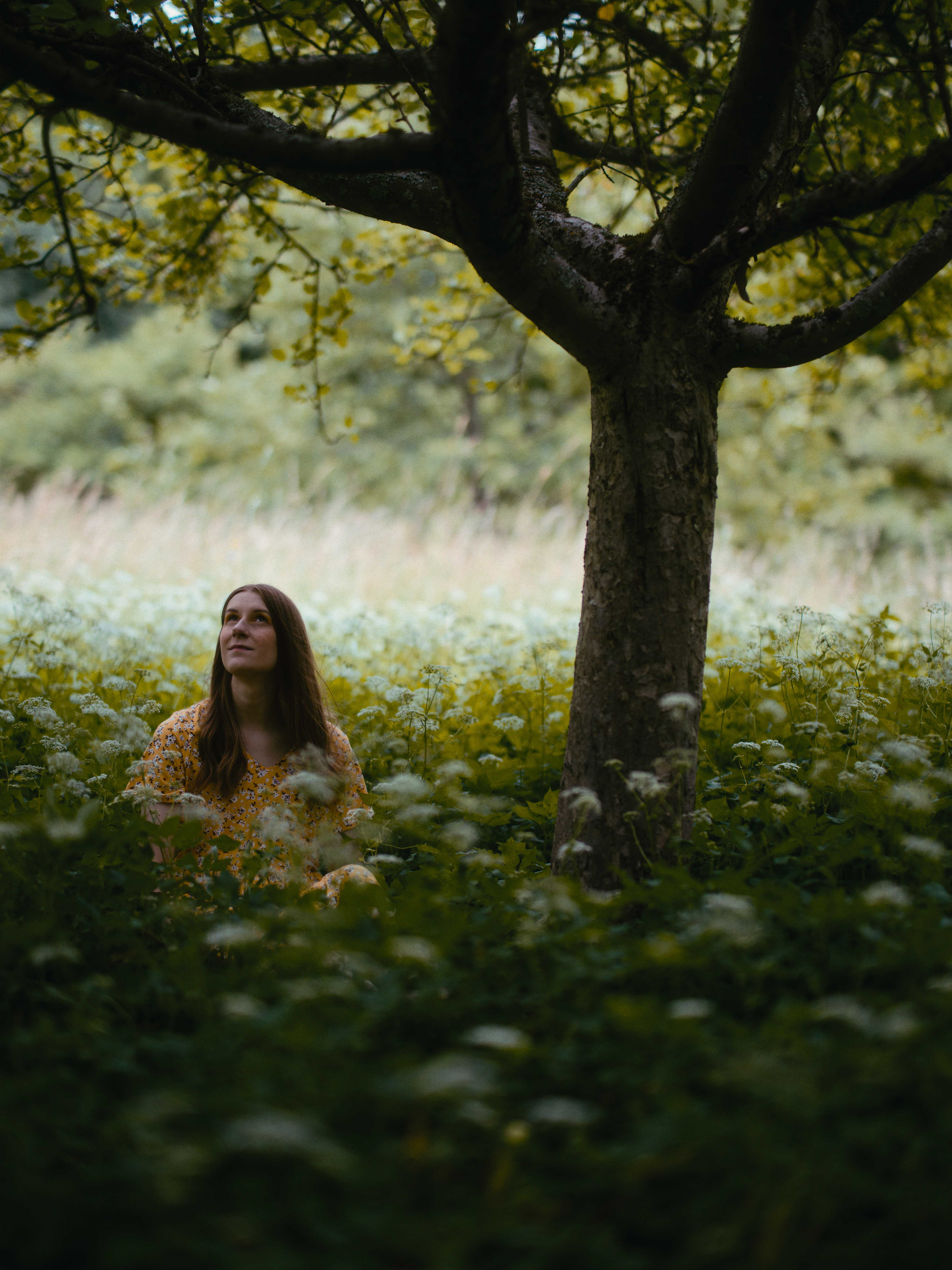 Sol Portraits -  Under the Tree