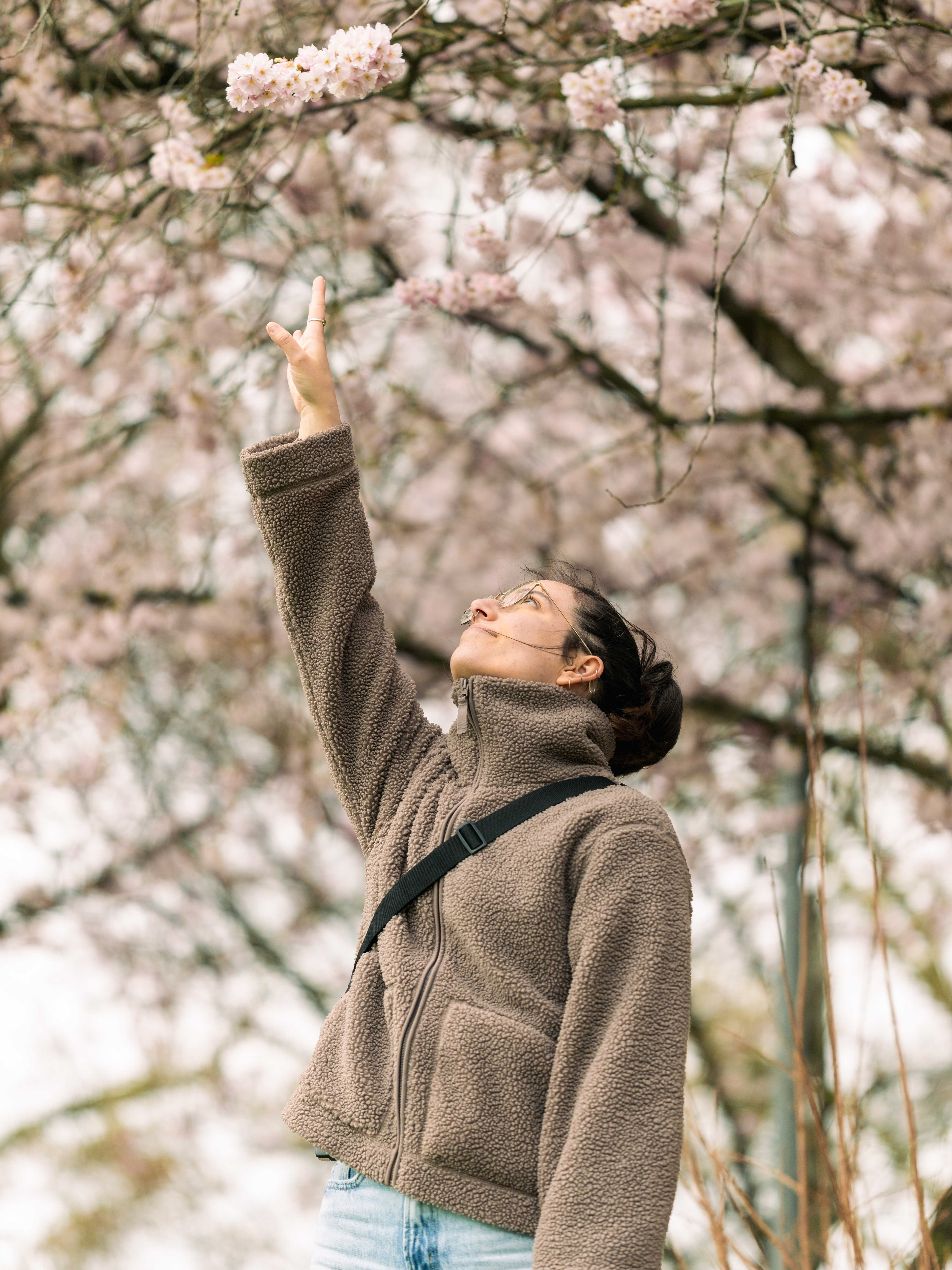 Cherry Blossom Portraits - Reaching up