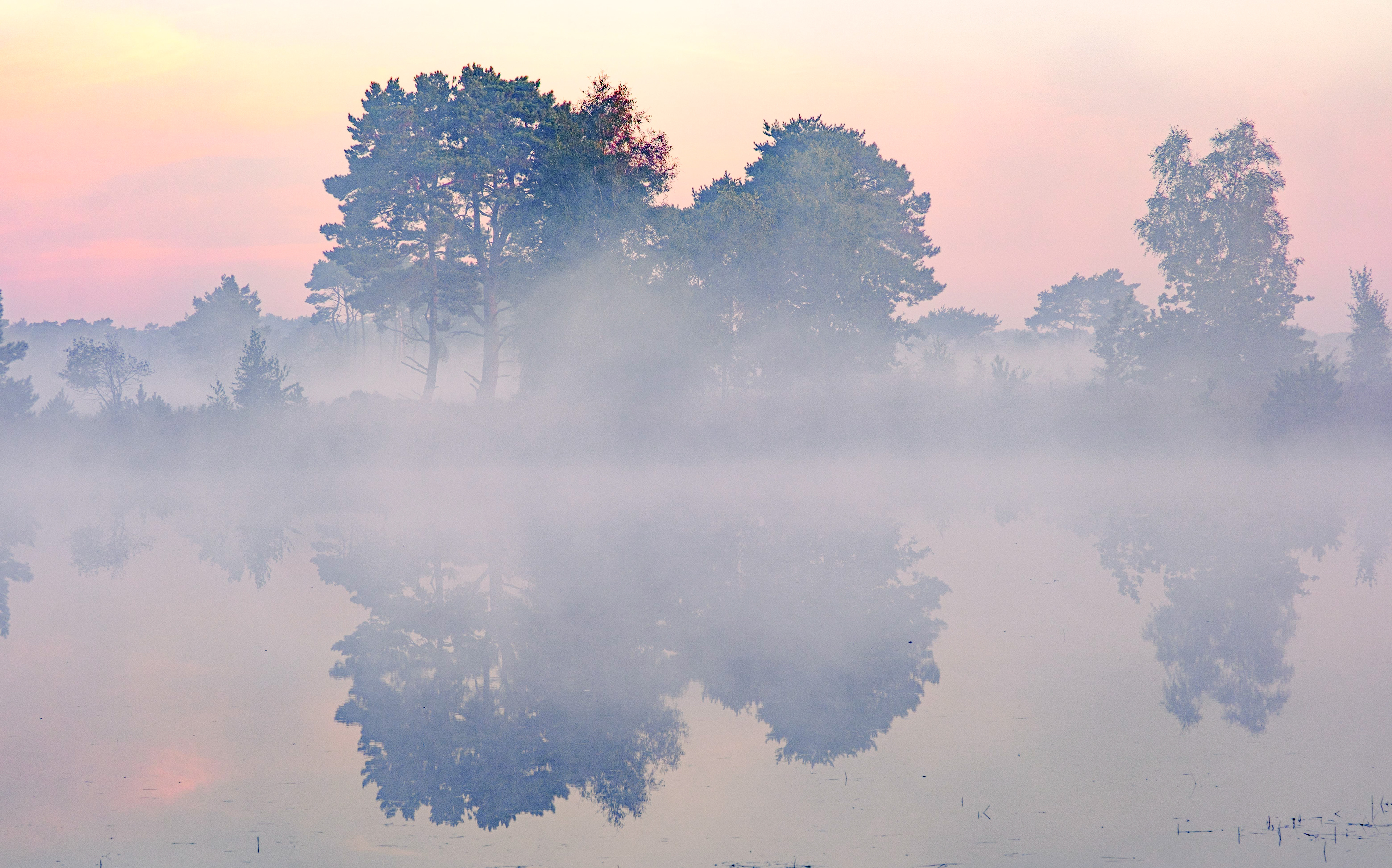 mistige ochtend in Kalmthoutse Heide aan de Putse moer