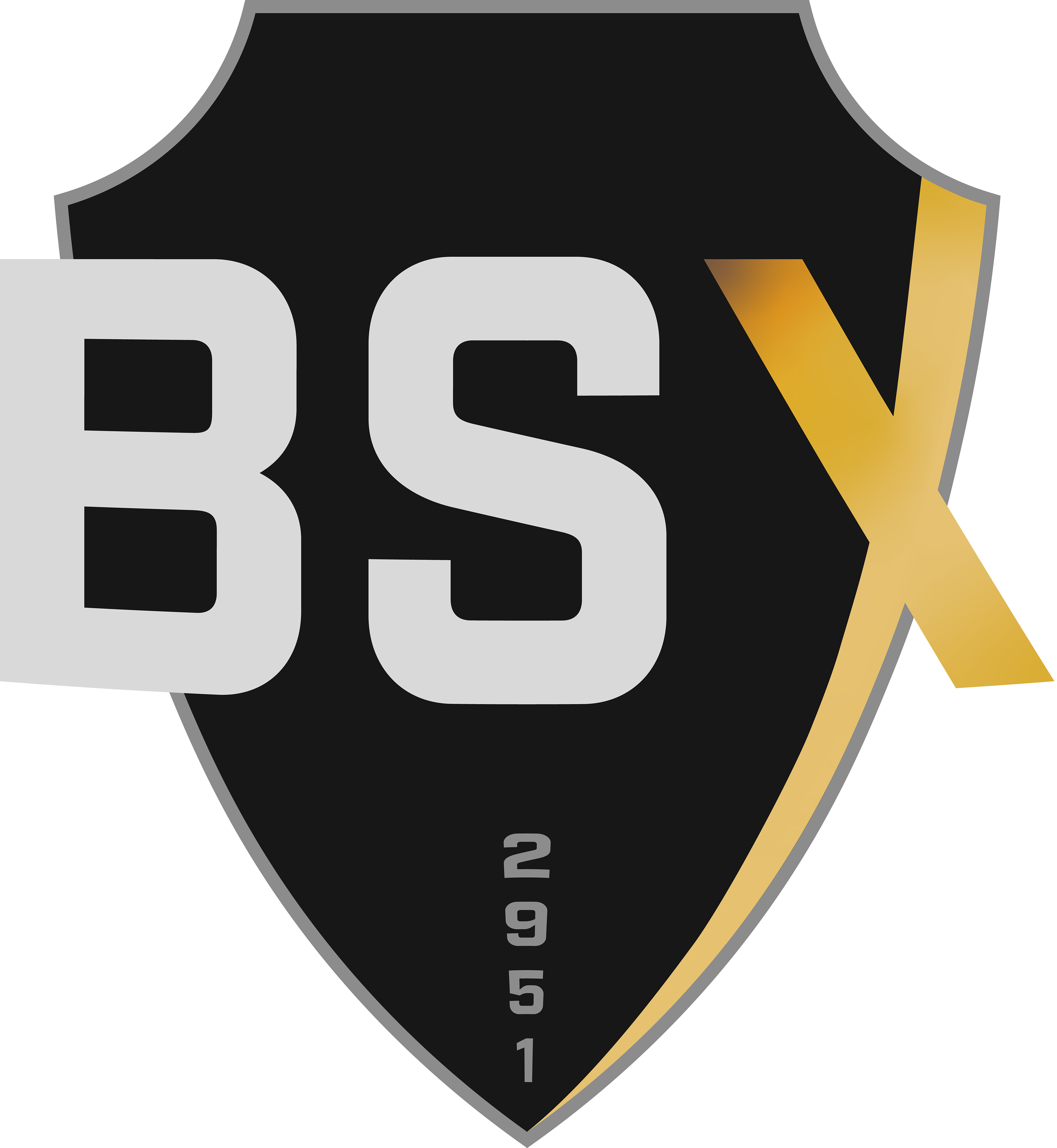 BSX Main Logo