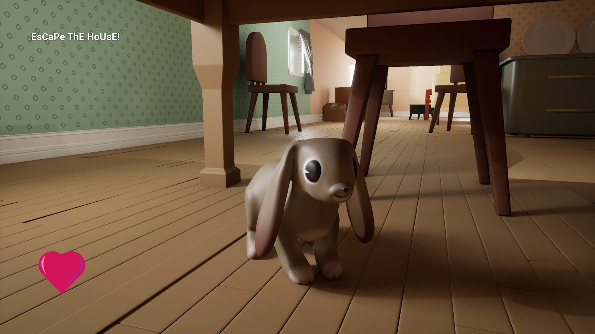 Rabbit