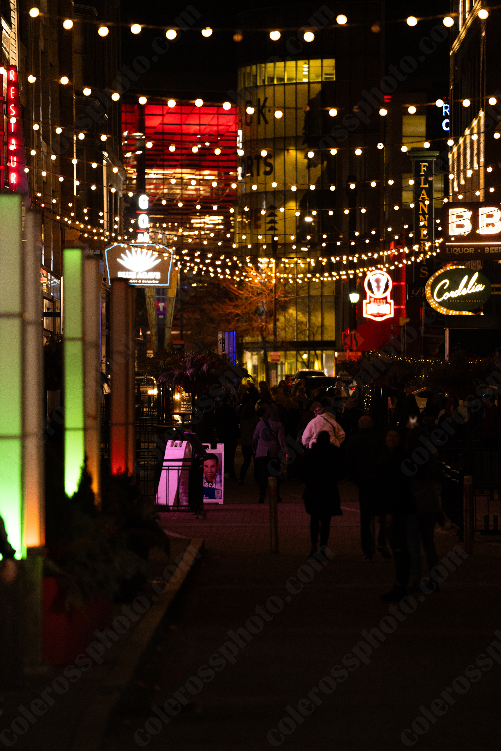 200mm, f/2.8, 1/250, ISO3200