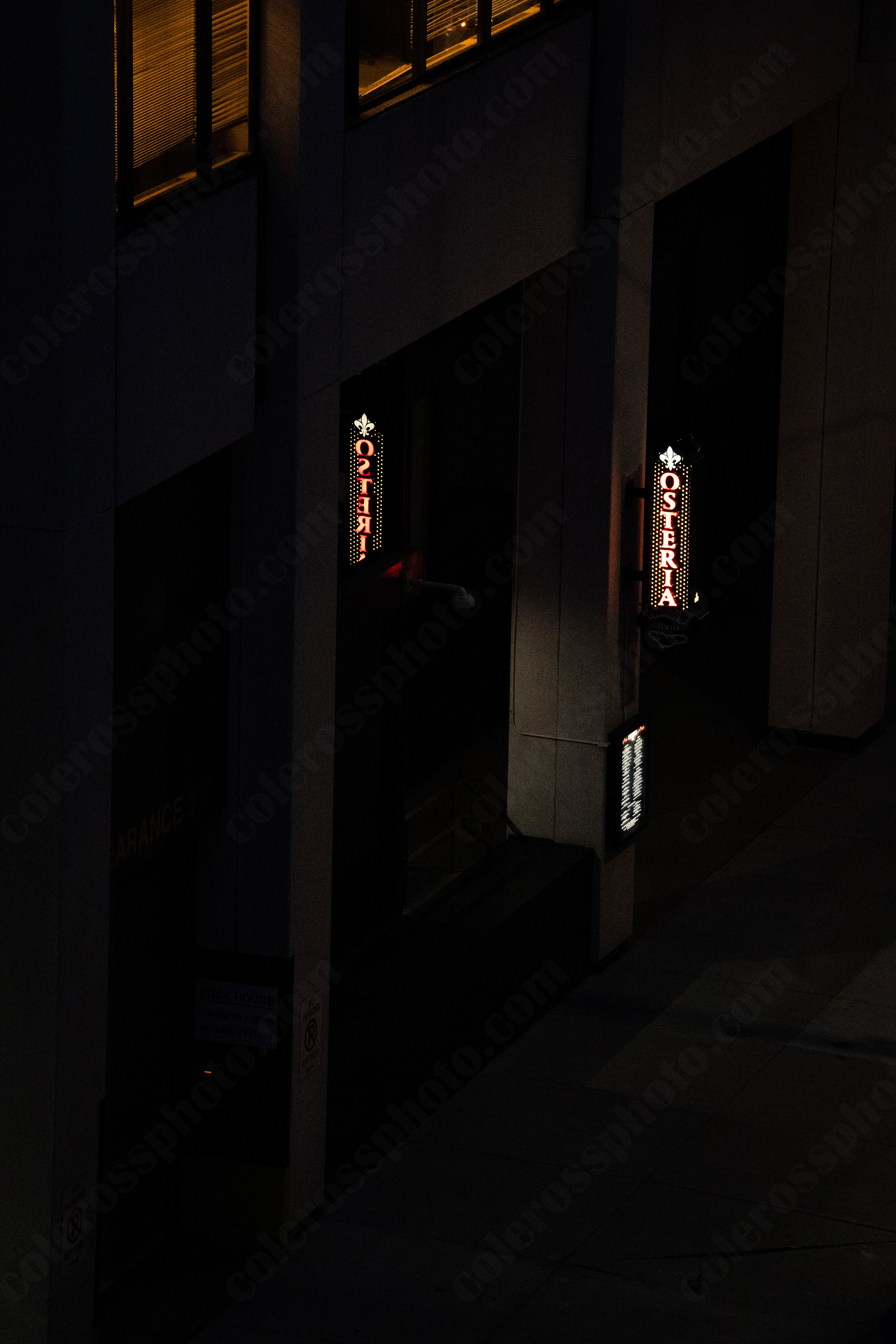 200mm, f/6.3, 1/320, ISO12800