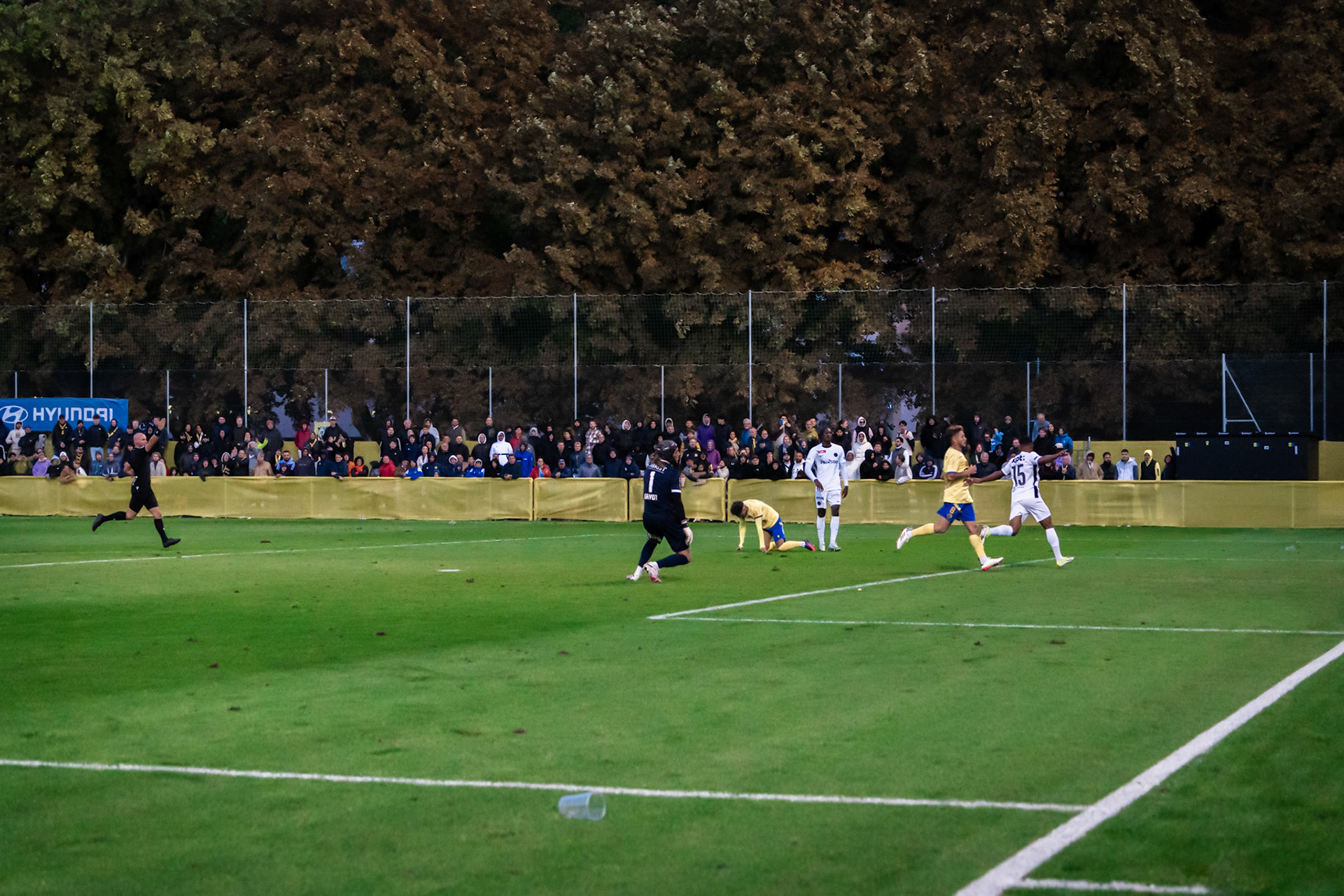 1/16ème de Coupe Suisse Vevey-Sports  - BSC Young Boys1/16ème de Coupe Suisse Vevey-Sports  - BSC Young Boys au Stade de Copet à Vevey