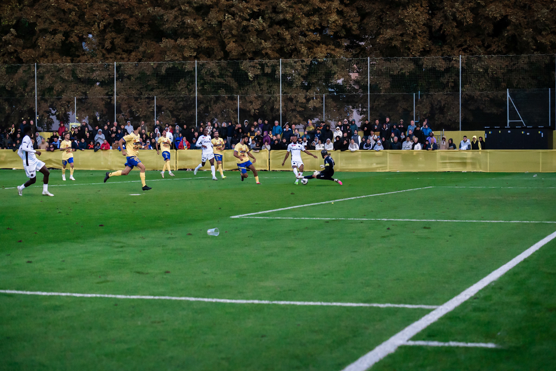 1/16ème de Coupe Suisse Vevey-Sports  - BSC Young Boys1/16ème de Coupe Suisse Vevey-Sports  - BSC Young Boys au Stade de Copet à Vevey