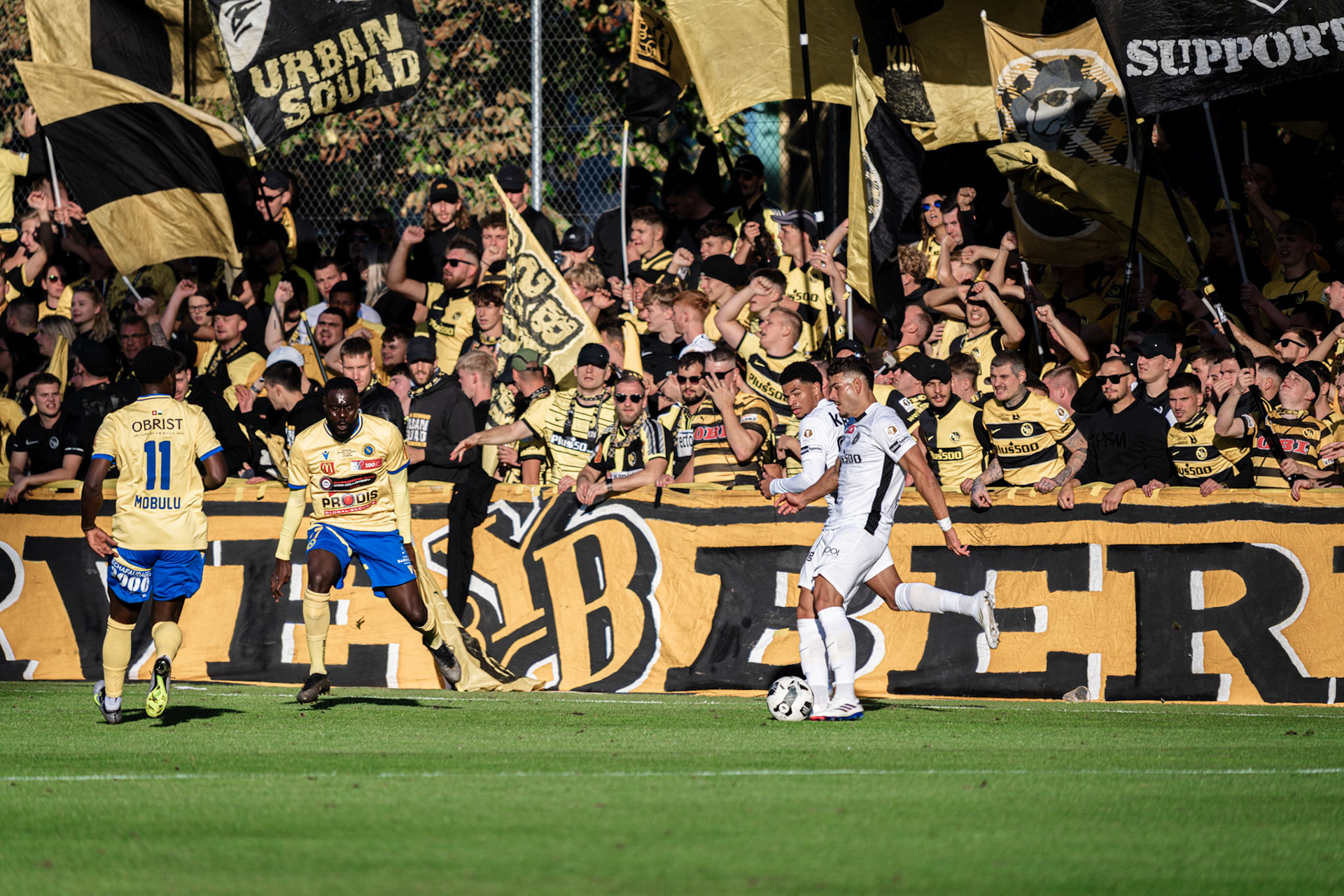 1/16ème de Coupe Suisse Vevey-Sports  - BSC Young Boys1/16ème de Coupe Suisse Vevey-Sports  - BSC Young Boys au Stade de Copet à Vevey