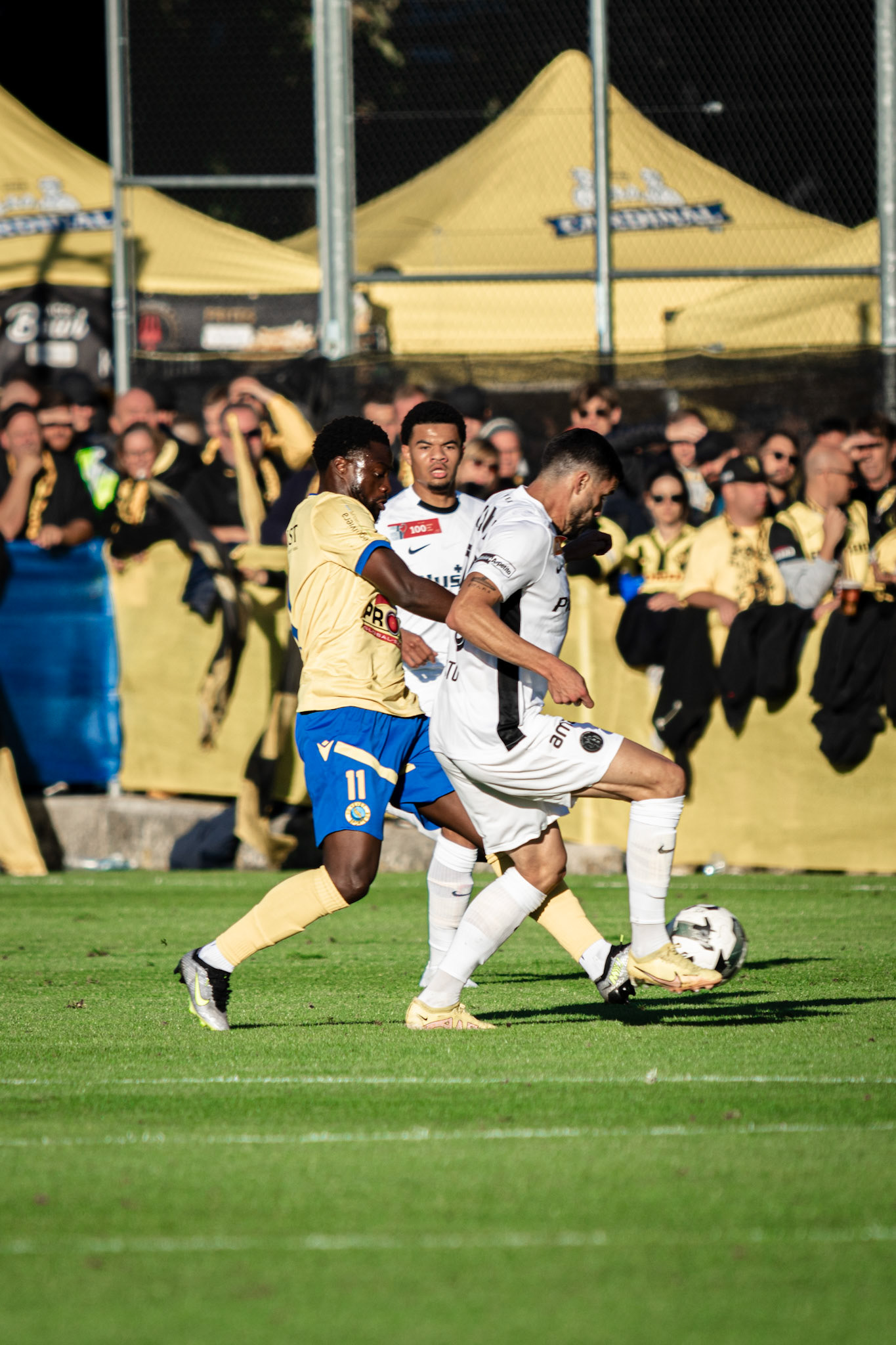 1/16ème de Coupe Suisse Vevey-Sports  - BSC Young Boys1/16ème de Coupe Suisse Vevey-Sports  - BSC Young Boys au Stade de Copet à Vevey