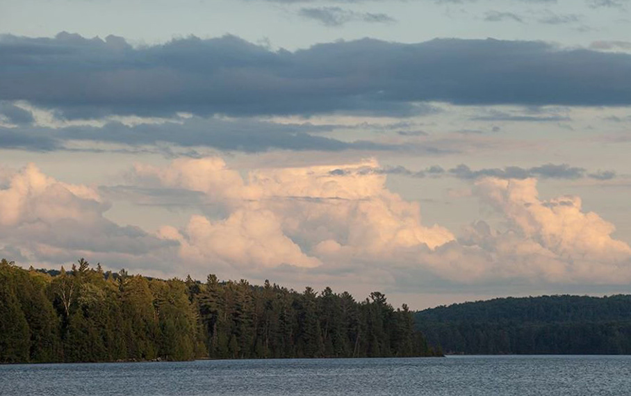 Summer Evening