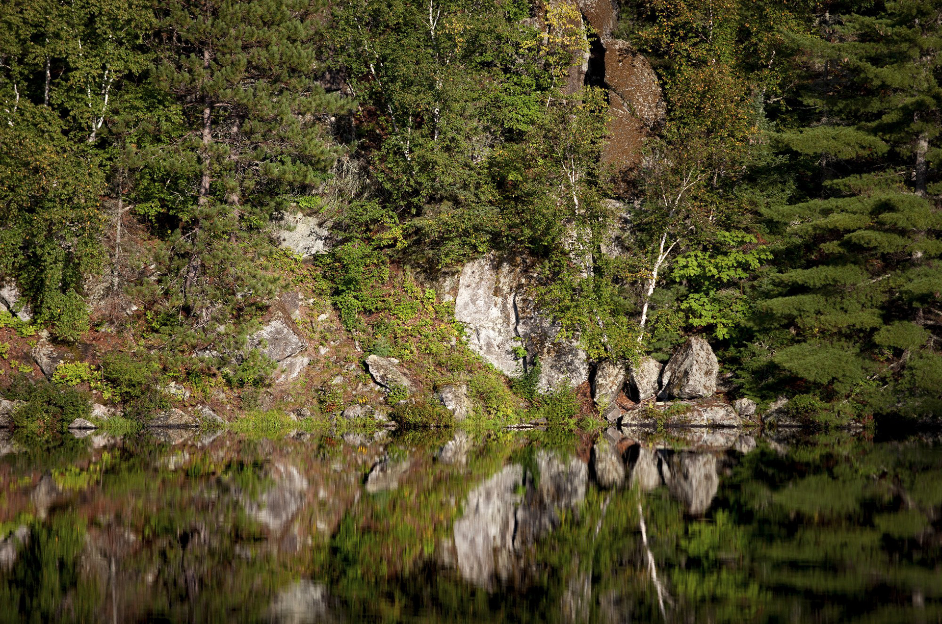 Reflection