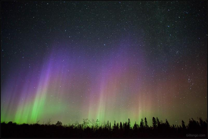 Northern Lights