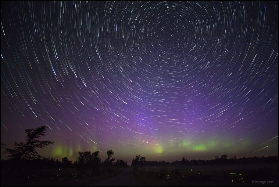 Star Trails Fireflys and Aurora