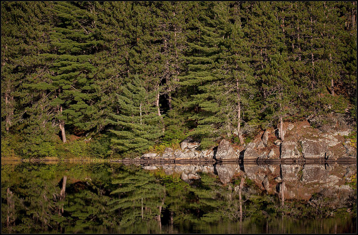 Opeongo